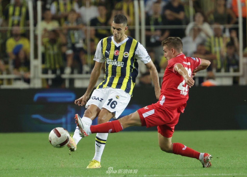 将劣势转化 将劣势转化